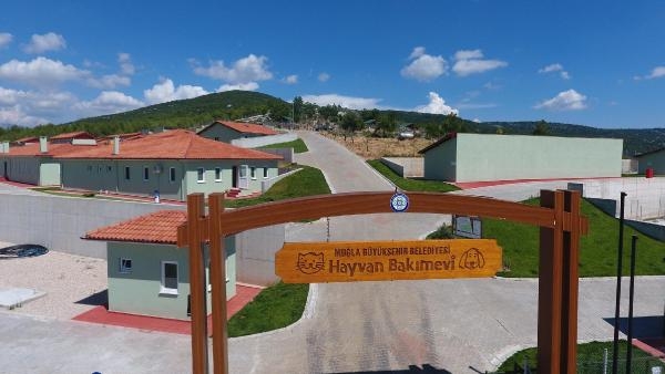 Muğla'da Büyükşehir Belediye Hayvan Barınağı 26 bin 529 can dostuna şifa oldu
