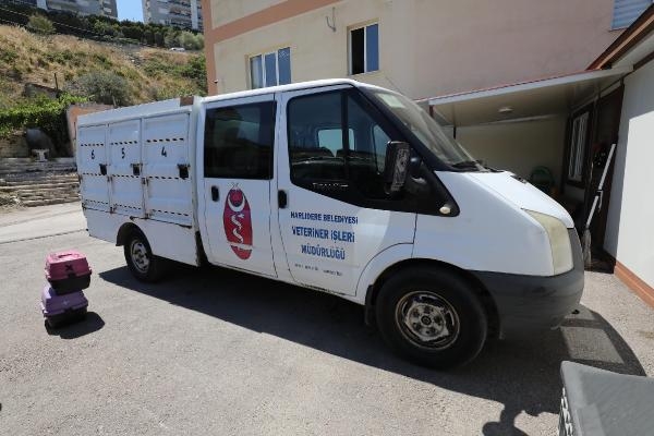 Narlıdere Belediyesi'nde sahipsiz hayvanlara şefkat eli uzatıldı