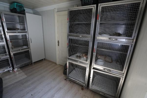 Narlıdere Belediyesi'nde sahipsiz hayvanlara şefkat eli uzatıldı