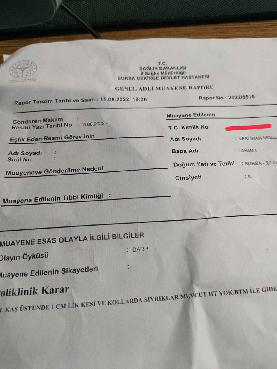 Kediler yüzünden saldırıya uğradı