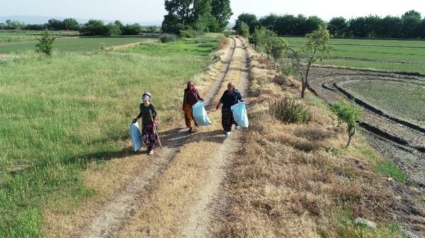 Tarladan 5 tonun üzerinde atık topladılar, kuzuları kaptılar