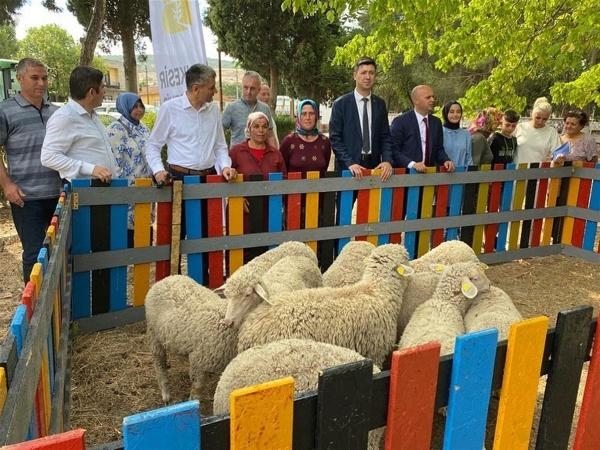 Tarladan 5 tonun üzerinde atık topladılar, kuzuları kaptılar