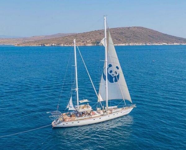 Blue Panda Kuşadası'nda