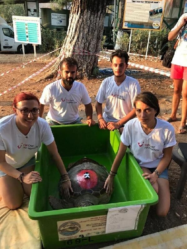 Caretta caretta 'Tuba' 17 bin 500 kilometre katetti