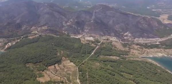 İzmir'de 5 yıl önce yanan alan tekrar yeşillendi