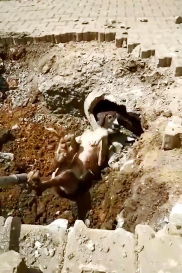 Kanalizasyon borusuna sıkışan köpeği itfaiye kurtardı