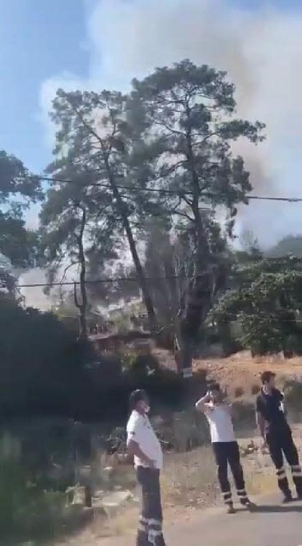 Marmaris'te orman yangını! Kısa sürede söndürüldü