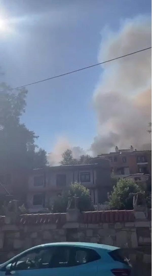 Marmaris'te orman yangını! Kısa sürede söndürüldü