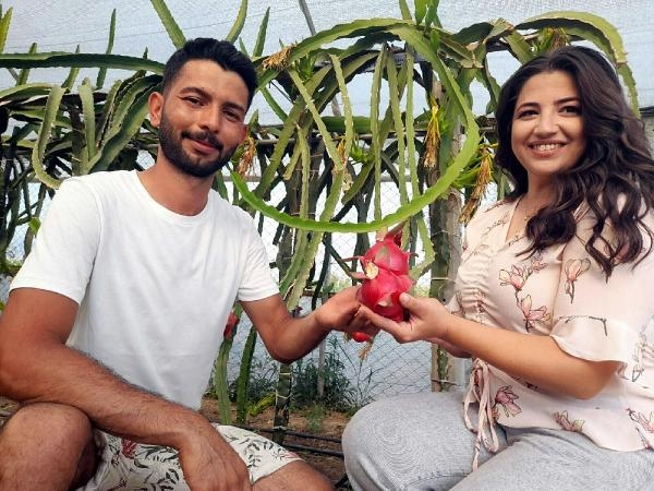 Sinemayı bıraktı, hayalinin meyvesini üretiyor