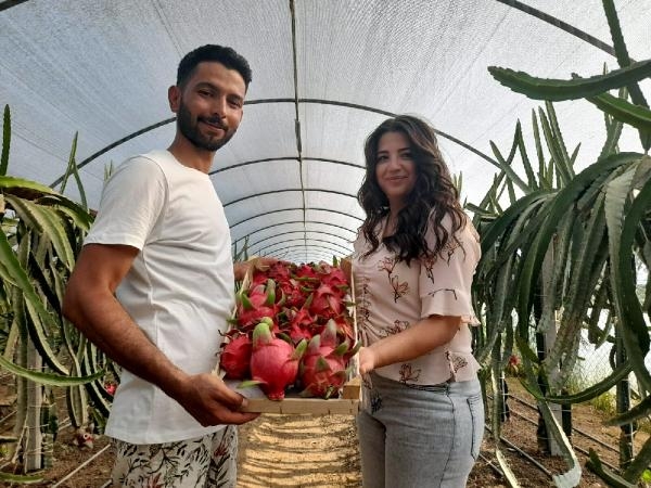 Sinemayı bıraktı, hayalinin meyvesini üretiyor