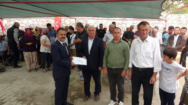 Ayvacık'ta Antep fıstığı hasat şenliği