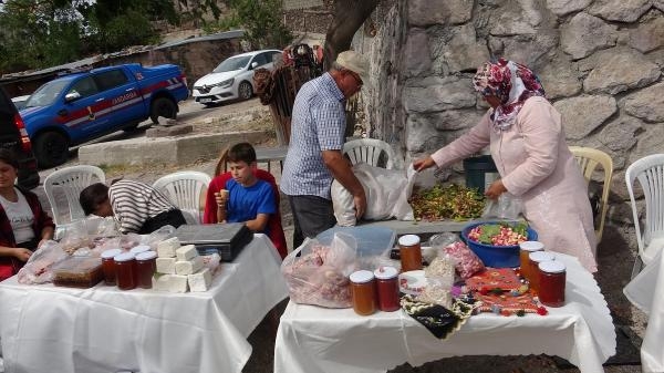 Ayvacık'ta Antep fıstığı hasat şenliği