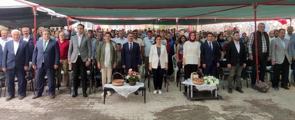 Ayvacık'ta Antep fıstığı hasat şenliği