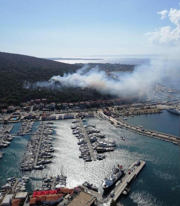Çeşme marina arkasında orman yangını