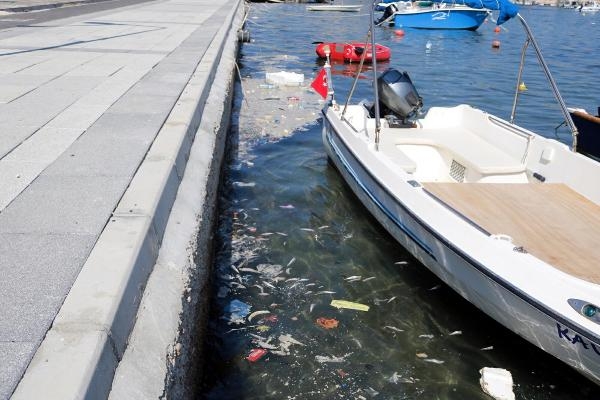 Foça'da denizde kirlilik tedirginliği