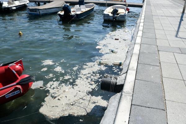 Foça'da denizde kirlilik tedirginliği