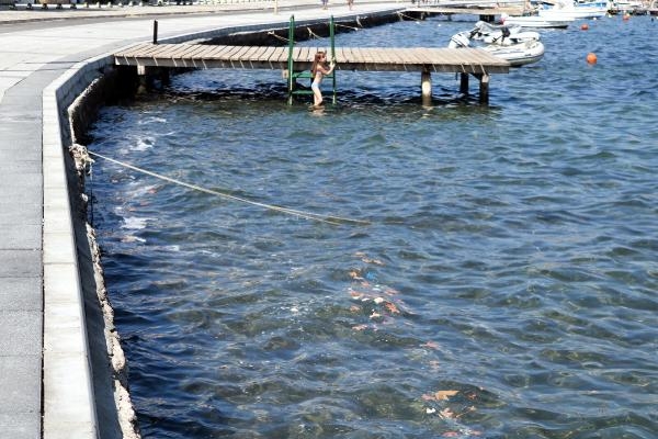 Foça'da denizde kirlilik tedirginliği