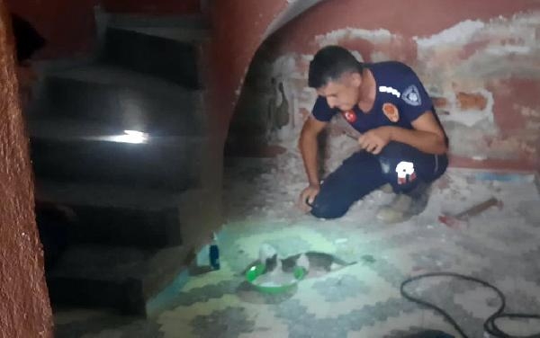 Gider borusuna sıkışan 2 yavru kediyi itfaiye ekipleri kurtardı