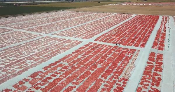 Kınık kuru domatesi coğrafi işaret aldı