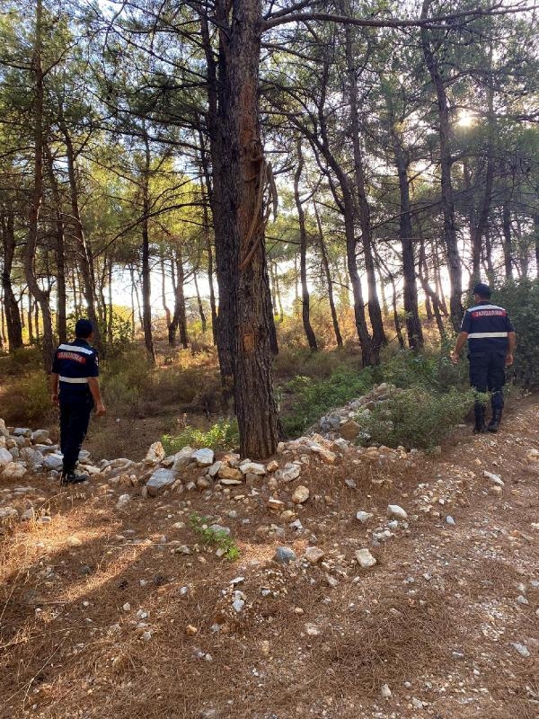 Muğla'da orman yangını riskine karşı teyakkuz