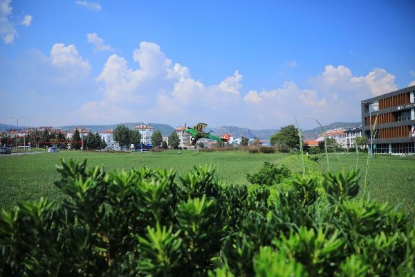Muğla'da yeşil alanlar her geçen gün artıyor