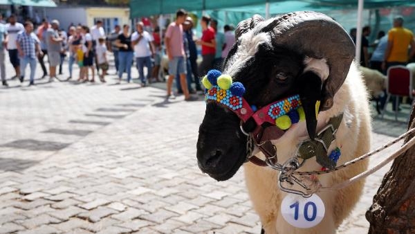 Ovacık'ta festival heyecanı başlıyor