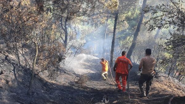 Salihli'de çıkan orman yangını kontrol altına alındı