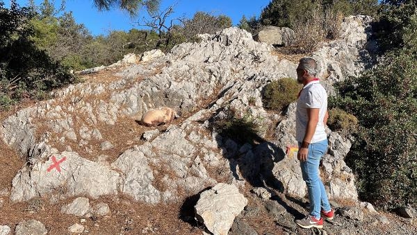 Bodrum'da çarşafa sarılı ölü köpek bulundu