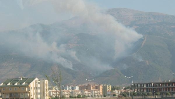 Manisa'da 19 yıl önce yanan orman dikimlerle yeniden yeşillendi