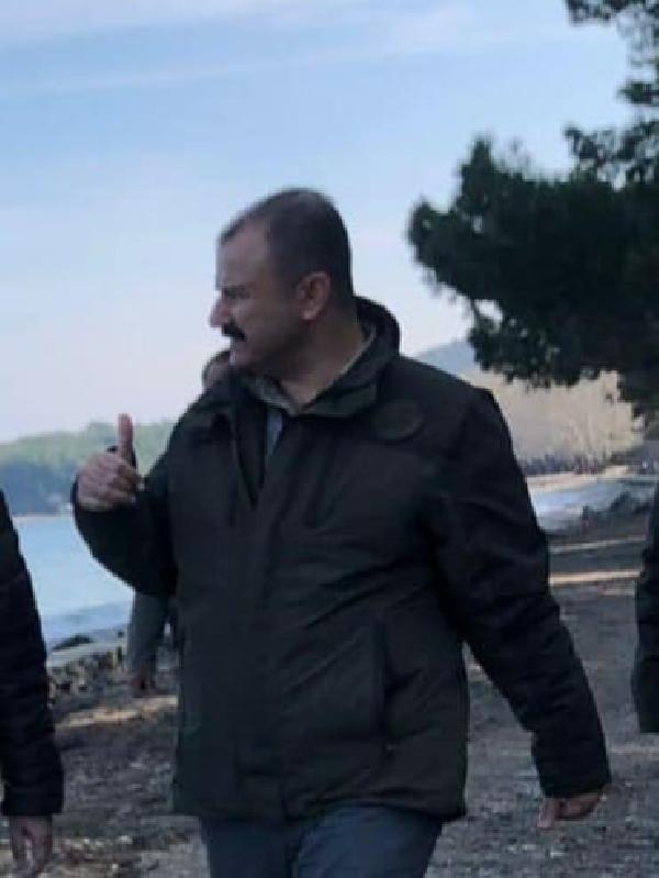 8 ağaç kestiren Milli Parkı Müdürü görevden alındı