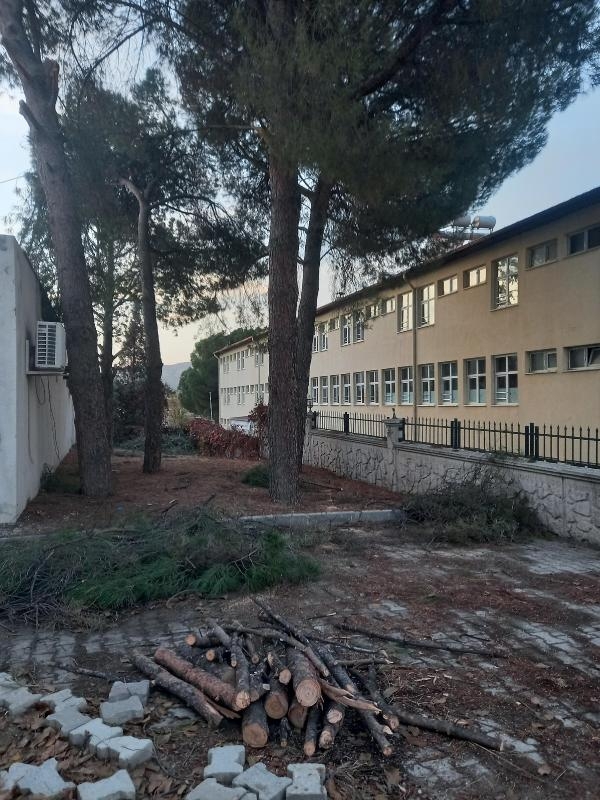 Hastane bahçesindeki ağaçtan düşüp, öldü