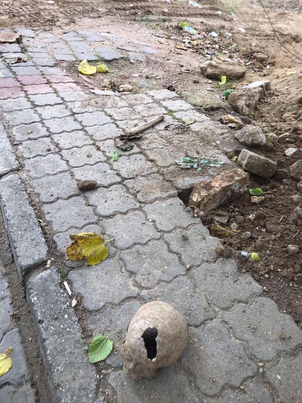 İnşaat kazısında insan kafatası bulundu