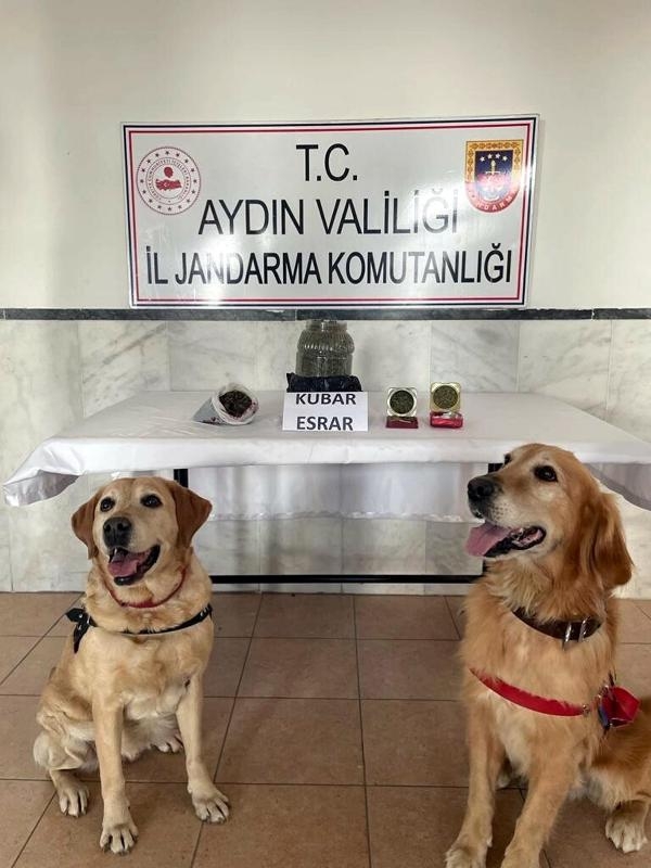 Uyuşturucu operasyonunda 2 zanlı tutuklandı
