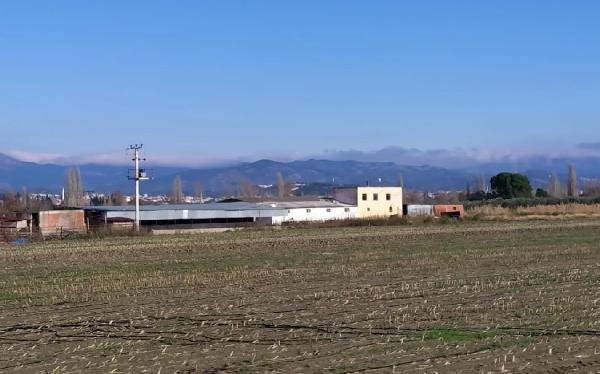 Baltalı işkence yapan kadın!