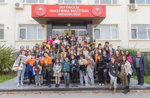 Çocukların zeytin hasadı sevinci
