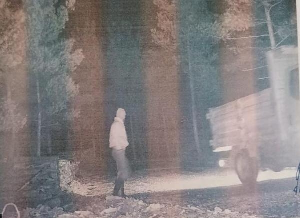 Fotokapan, bu kez hırsızları yakaladı