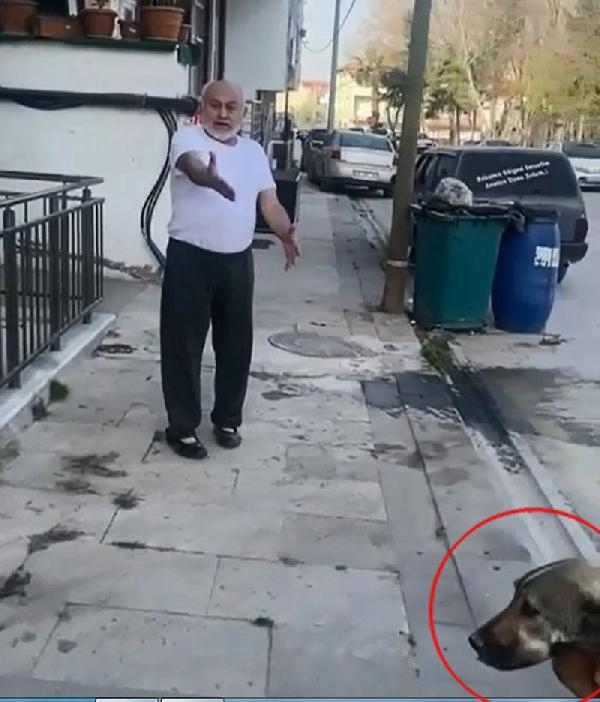 'Paşa' isimli köpeği öldürüp, sahibini de tehdit eden sanığa 5 yıl 9 ay hapis