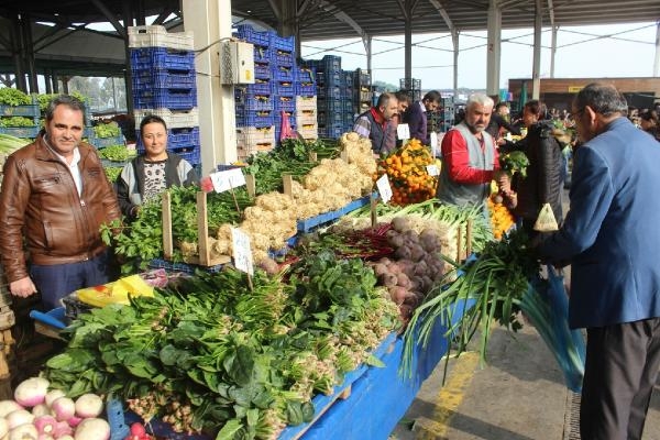 Salihli Ovası'nda hasat yoğunluğu