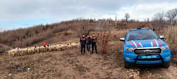 Sis yüzünden kaybolan 50 koyun, Ödemiş'te bulundu