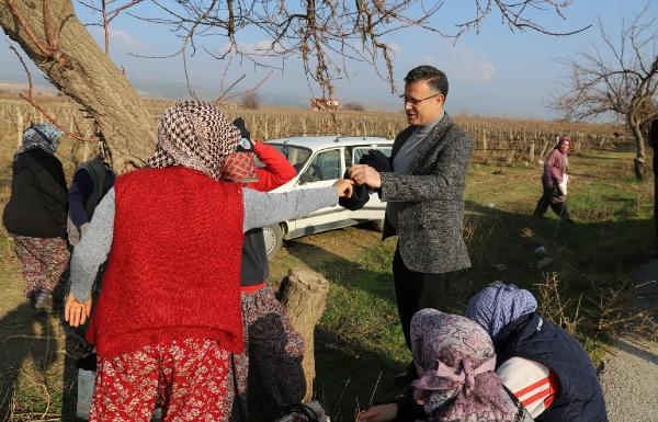 Belediye Başkanı üzüm bağlarını gezip, işçilere bere hediye etti