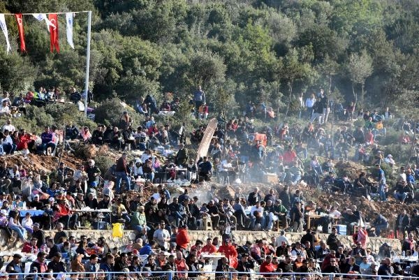Bodrum'da festival! 150 deve güreşti; binlerce kişi izledi