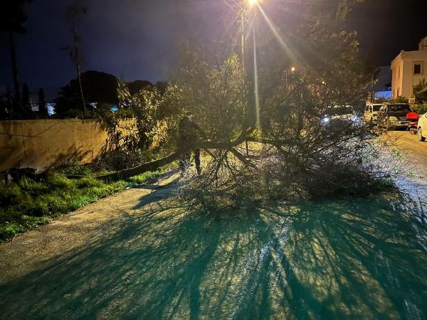 Bodrum'da fırtına hayatı olumsuz etkiledi