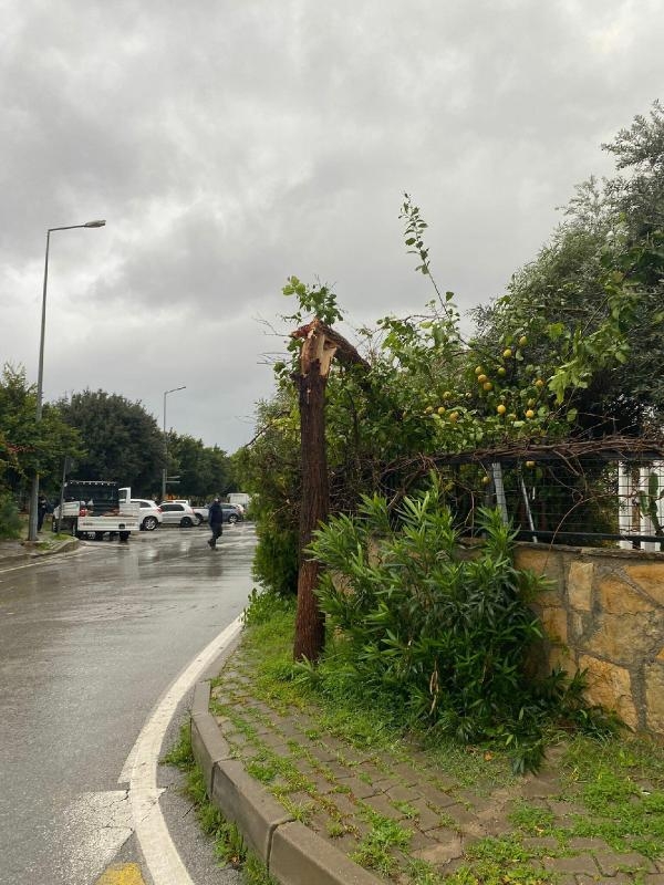 Bodrum'da fırtına hayatı olumsuz etkiledi