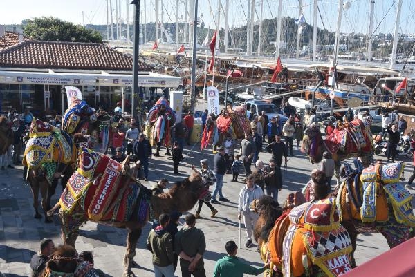 Festival öncesi develer Bodrum turuna çıktı
