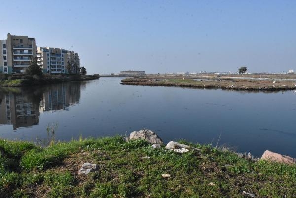 İzmir'de flamingo-pelikan üreme alanı azaldı