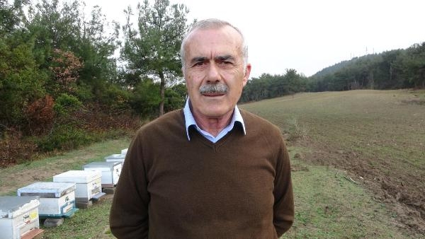 Kuraklık nedeniyle arı kaybı yüzde 40'a yaklaştı