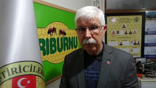 Kuraklık nedeniyle arı kaybı yüzde 40'a yaklaştı