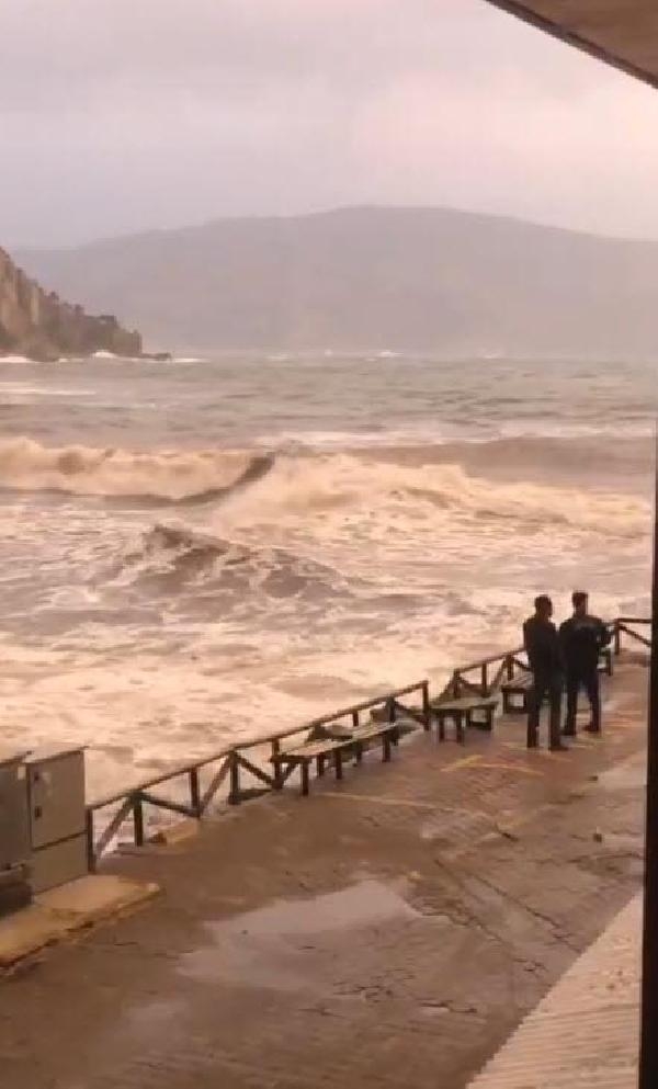 Marmaris'te dereler taştı, ağaçlar devrildi