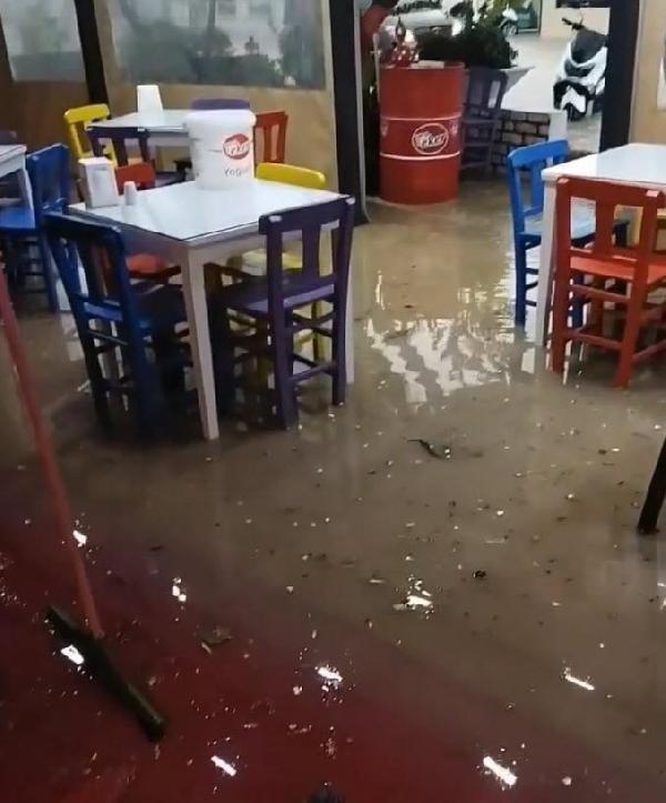 Marmaris'te dereler taştı, ağaçlar devrildi