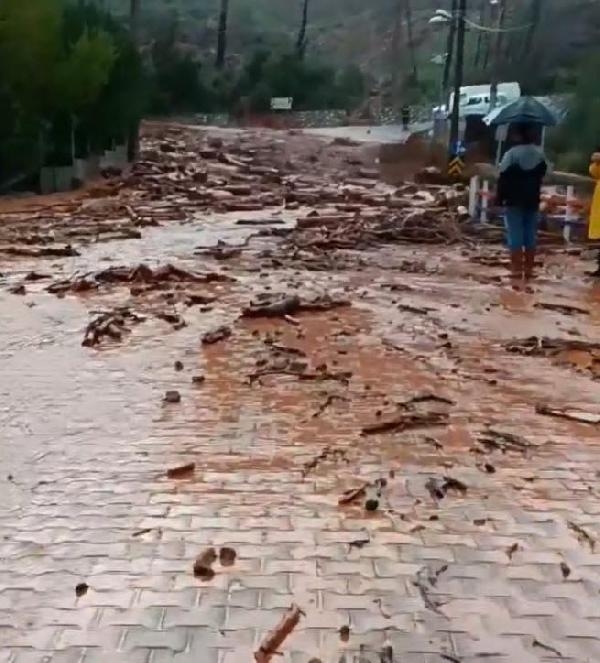 Marmaris'te dereler taştı, ağaçlar devrildi